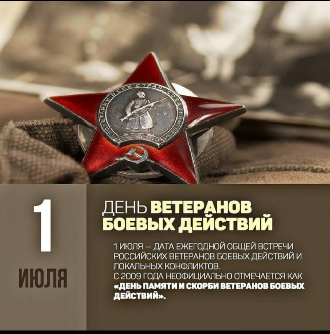 День ветеранов боевых действий (76 изображений)