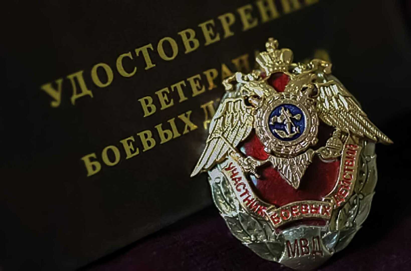 День ветеранов боевых действий (76 изображений)