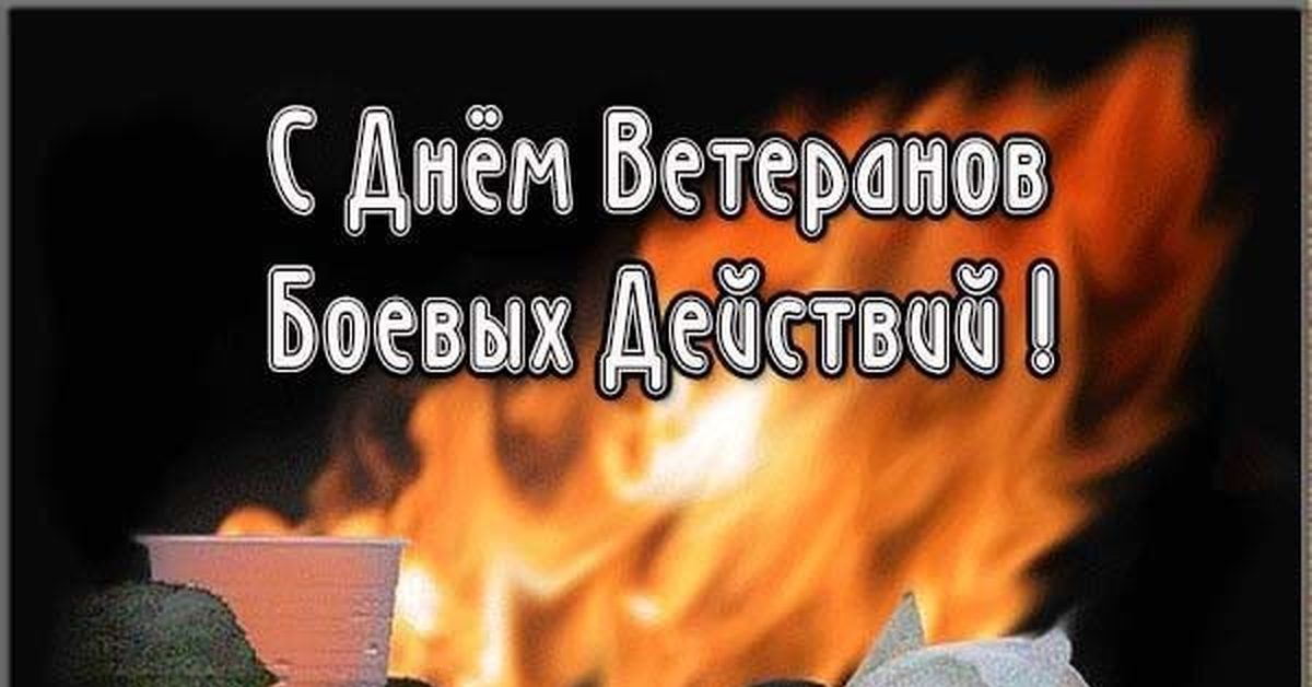 День ветеранов боевых действий (76 изображений)