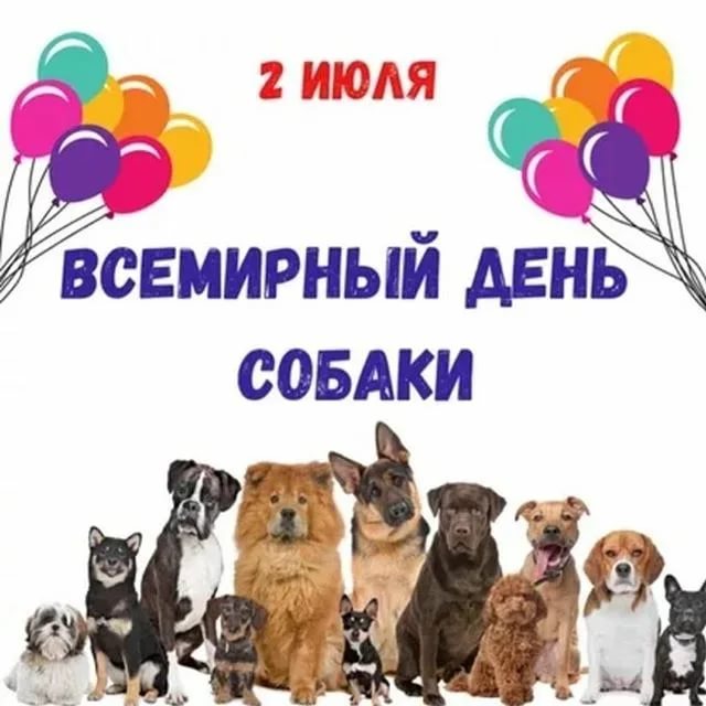 Всемирный день собаки (47 изображений)