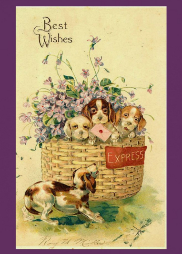 Новые картинки с днем рождения 2024. Винтажная открытка с днем рождения. Поздравительные открытки с собаками. Открытки с днём рождения с собаками. Милая открытка с днем рождения.
