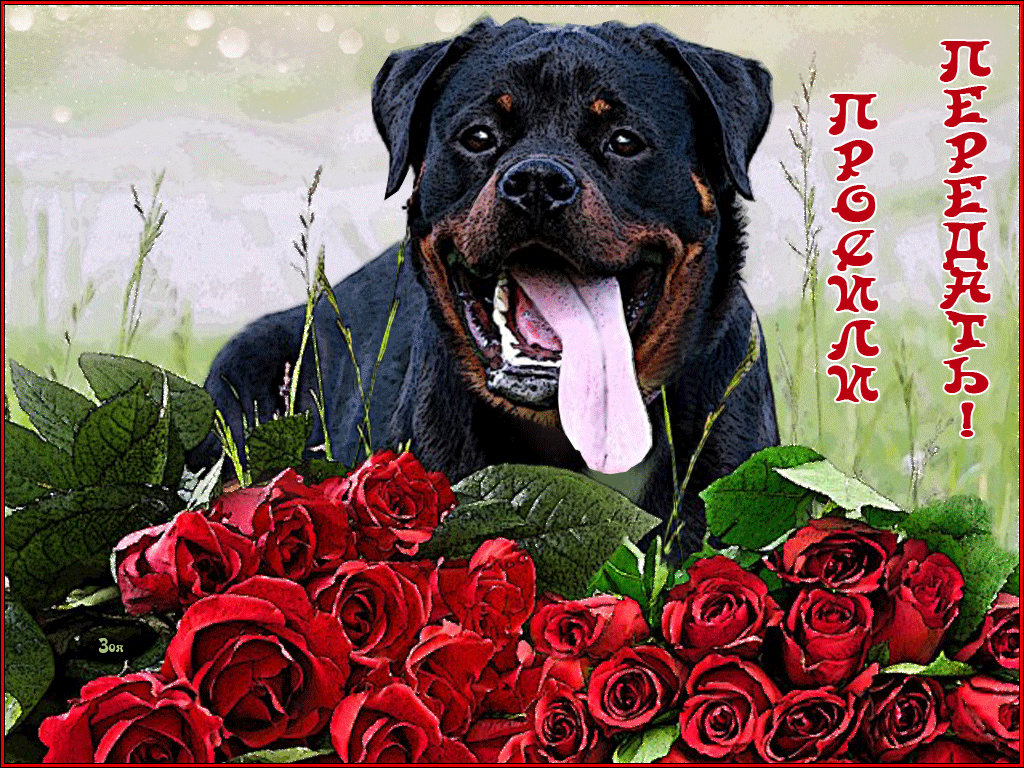 Отличный день стать собакой 3. День рождения собаки. Поздравительные открытки с собаками. Открытки с днем рождения с ротвейлером. Поздравление собаке.