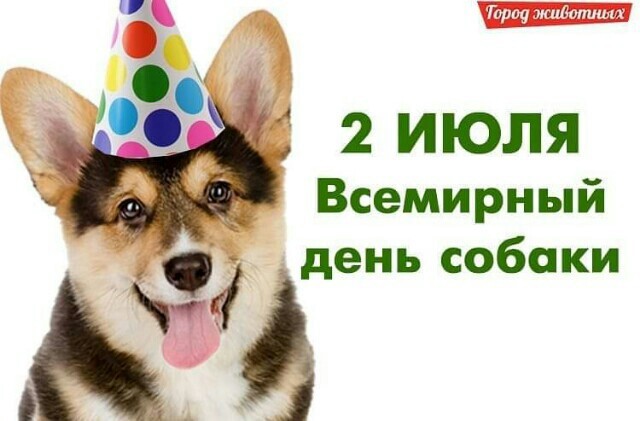 Всемирный день собаки (47 изображений)