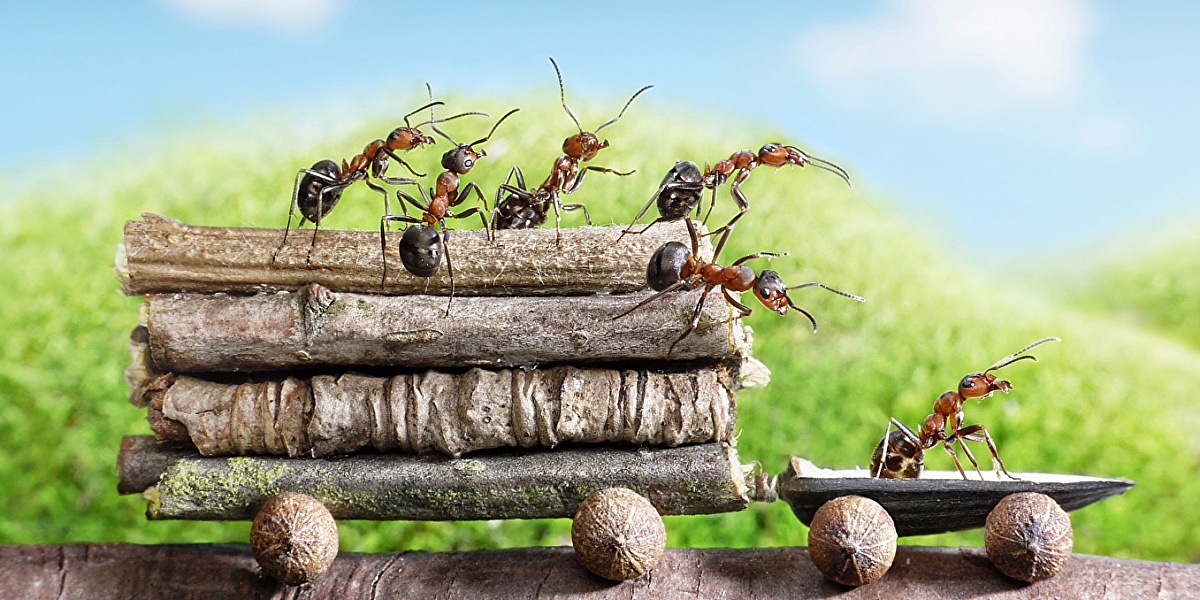 День трудоголиков (84 изображения)