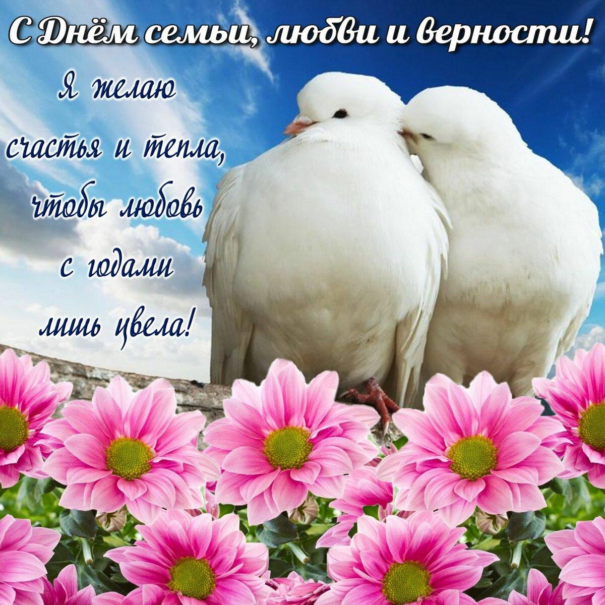 День семьи, любви и верности (63 изображения)