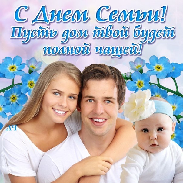День семьи, любви и верности (63 изображения)