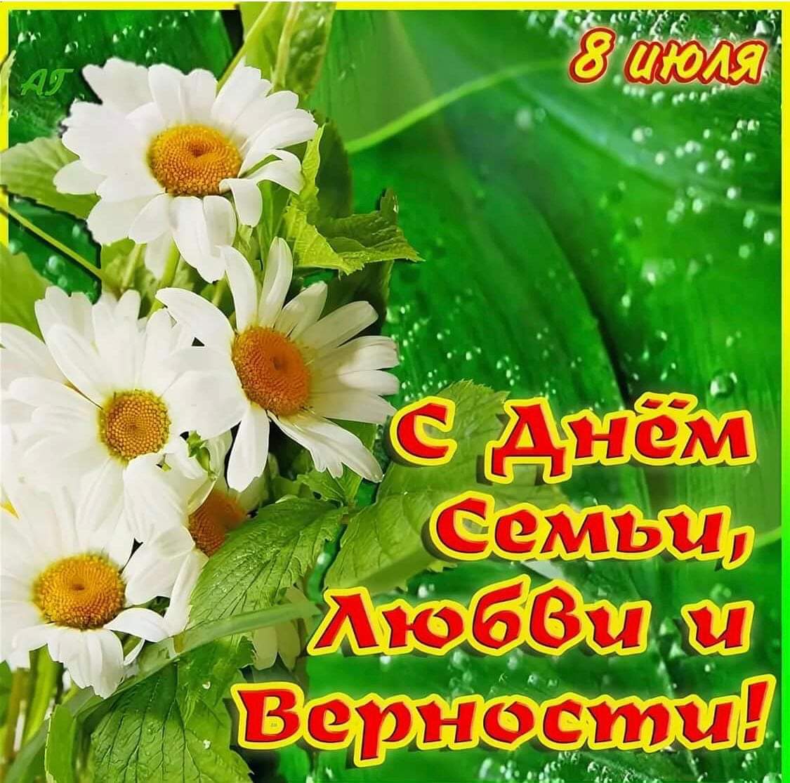 День семьи, любви и верности (63 изображения)