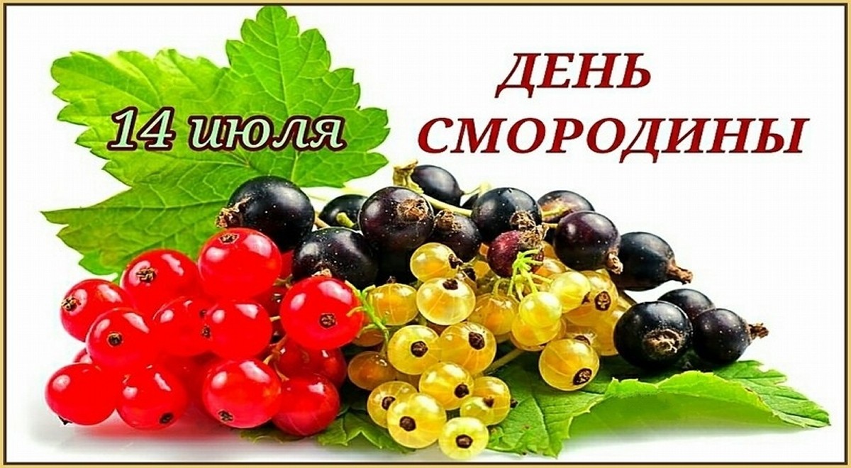 14 июля день. Стихи про смородину. День смородины 14 июля. Смородина стихи для детей. Стихи про смородину для детей.