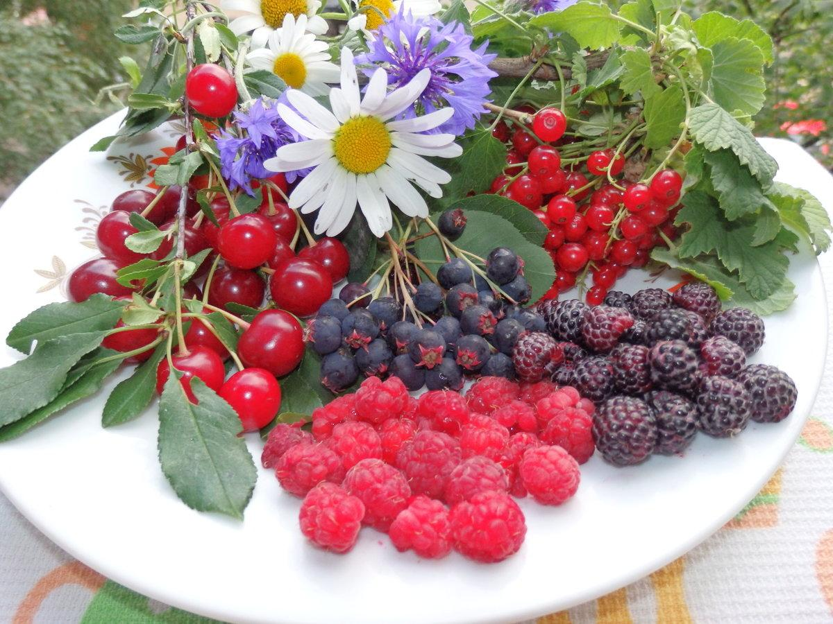 Малина смородина весной. Черника брусника ежевика. Вкусные ягоды. Садовые ягоды. Летние ягоды.