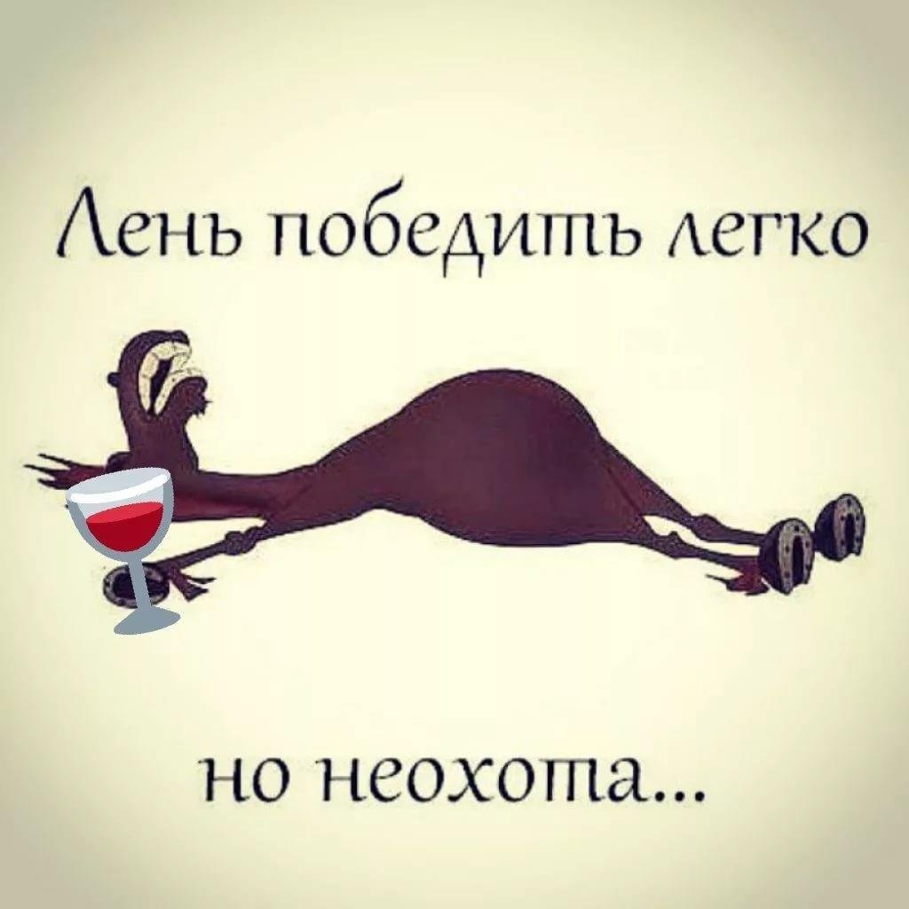 Лень картинки прикольные