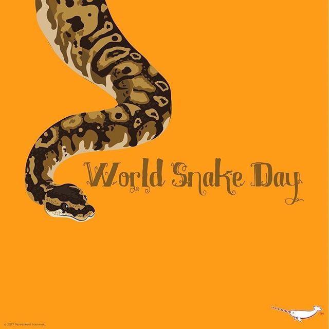 День змеи (57 изображений)
