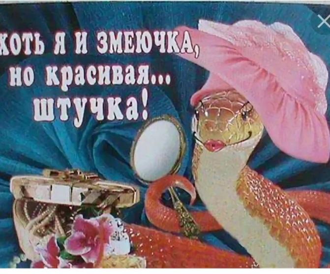 День змеи (57 изображений)