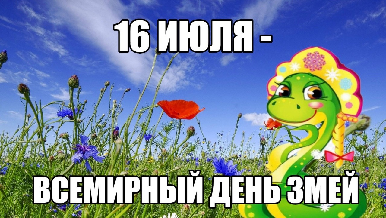 16 июня праздник картинки