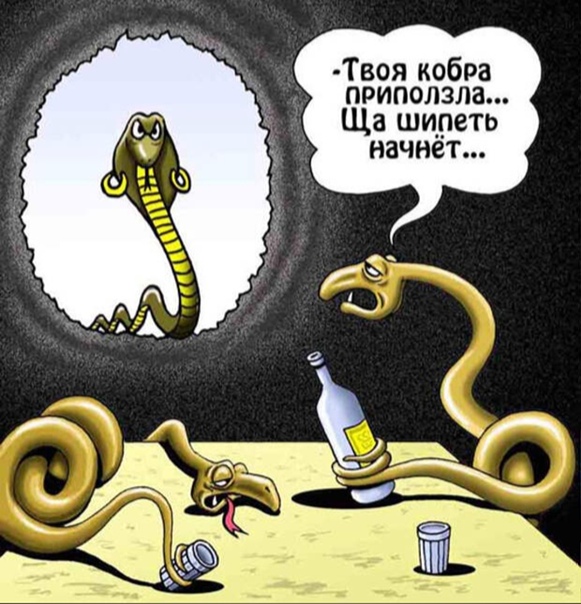 День змеи (57 изображений)