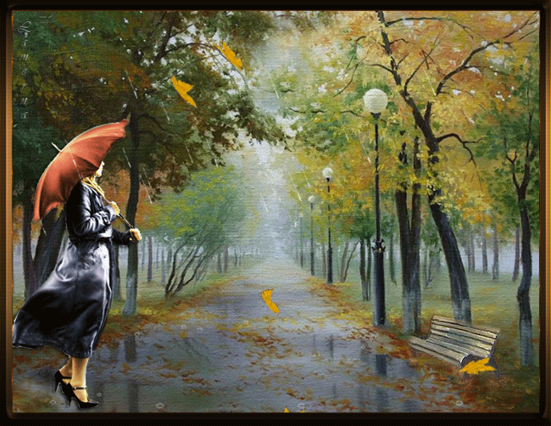 Осенний дождь. Дождливая осень. Дождь осенью. Дождливый день. Солнечный день в начале лета я брожу
