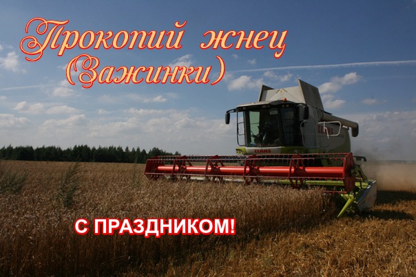 Зажинки (53 изображения)