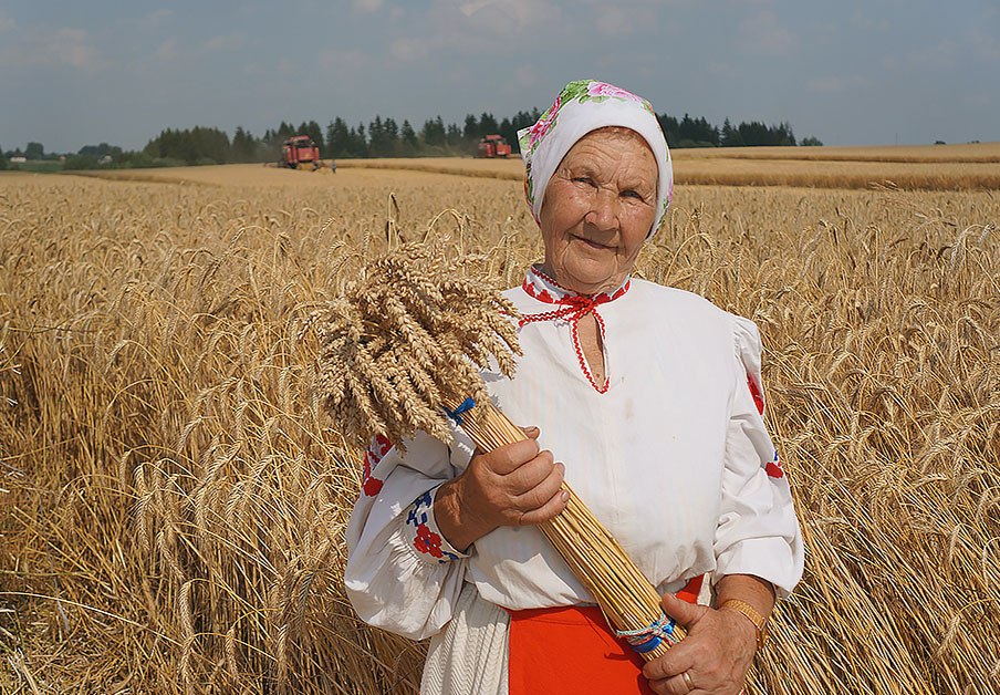 Зажинки (53 изображения)