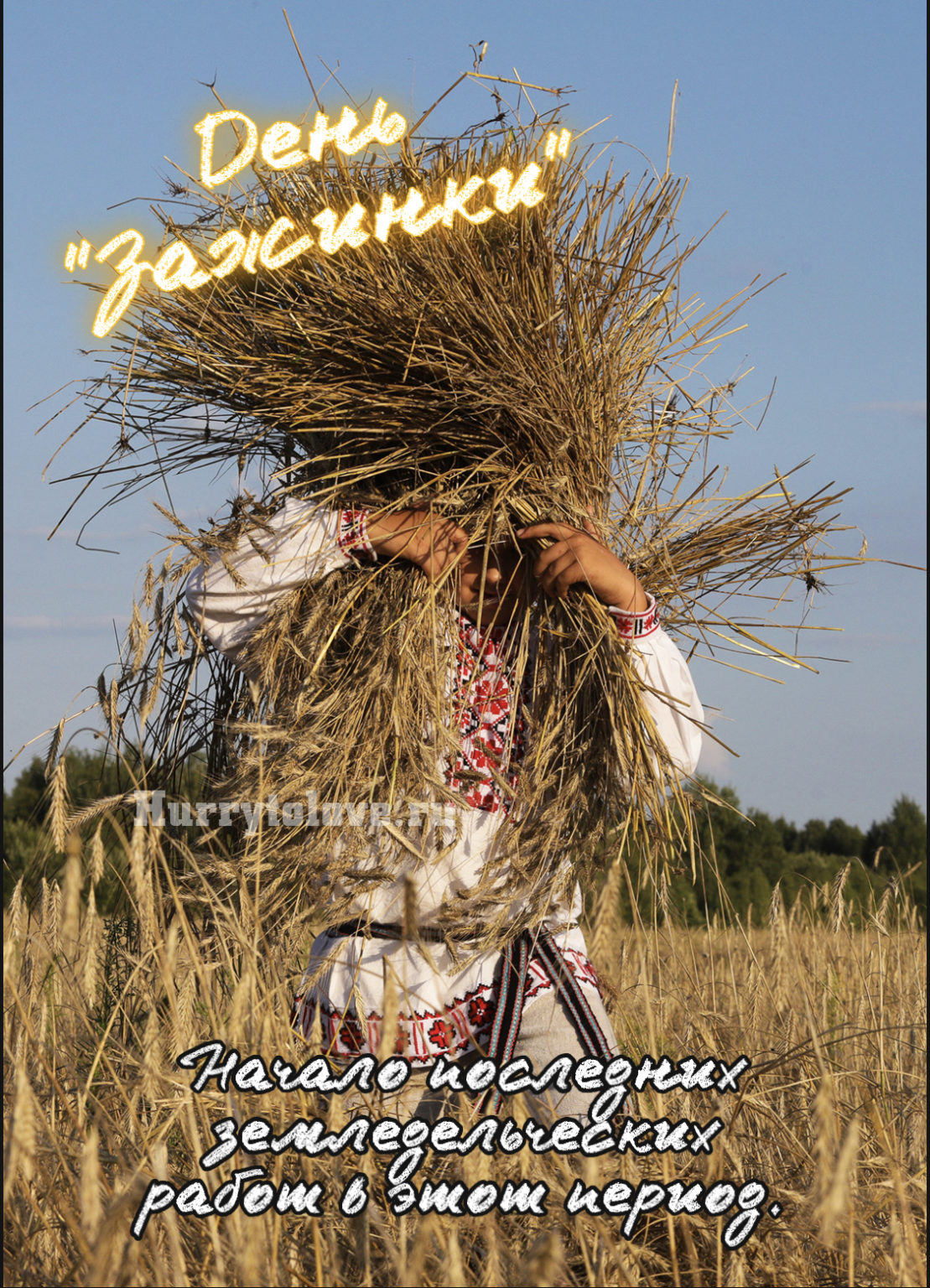 Зажинки (53 изображения)