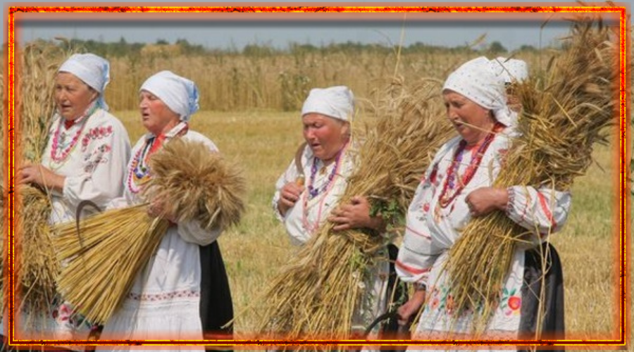 Зажинки (53 изображения)