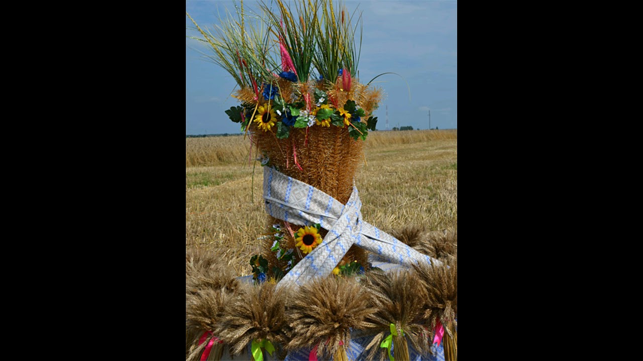 Зажинки (53 изображения)