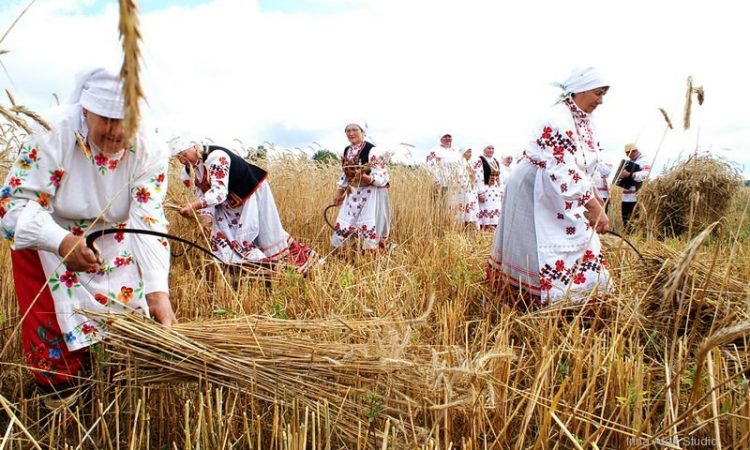 Зажинки (53 изображения)