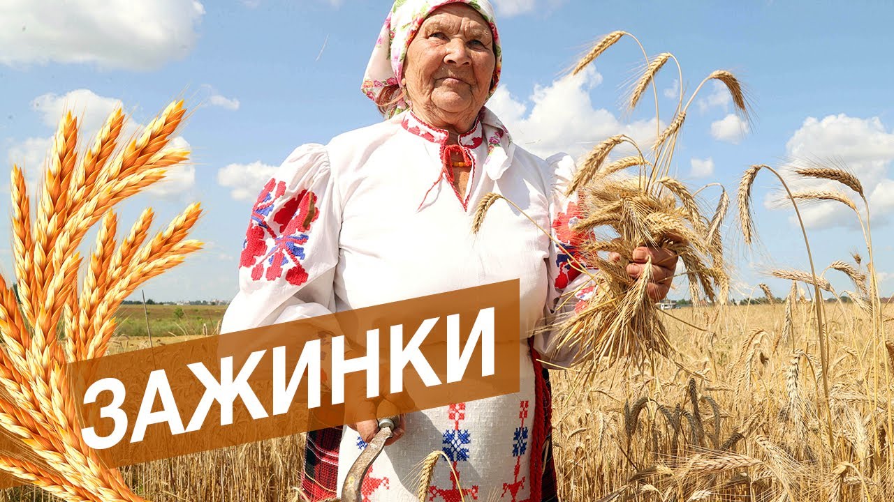 Зажинки (53 изображения)