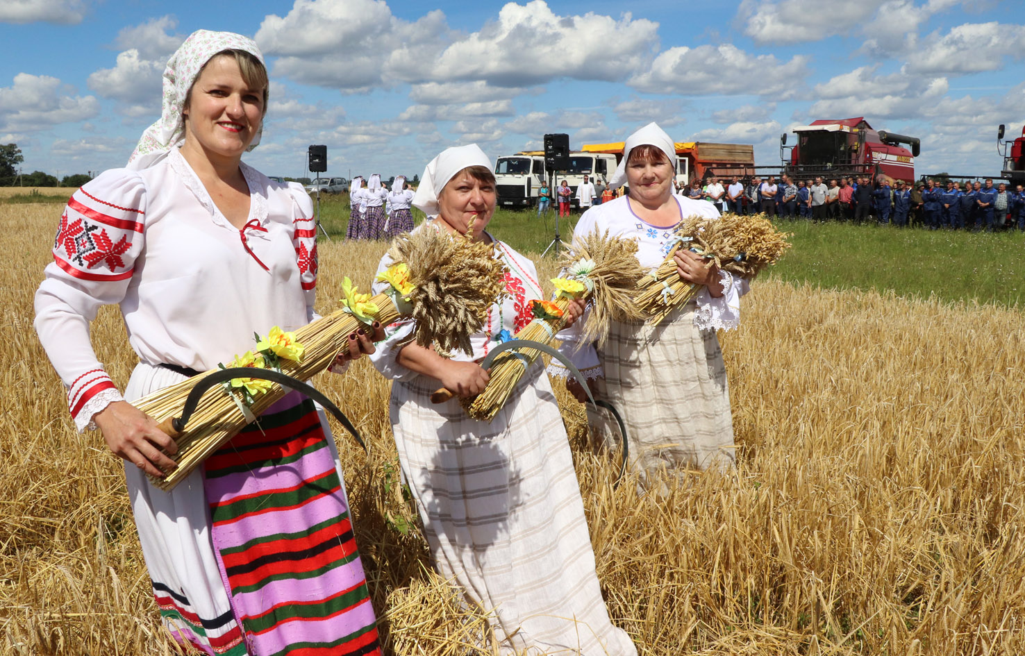 Зажинки (53 изображения)