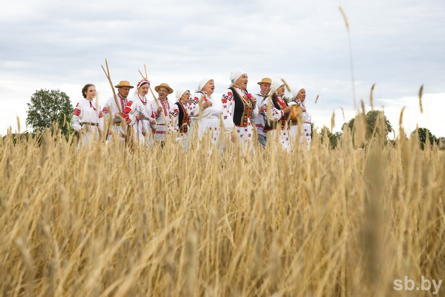 Зажинки (53 изображения)