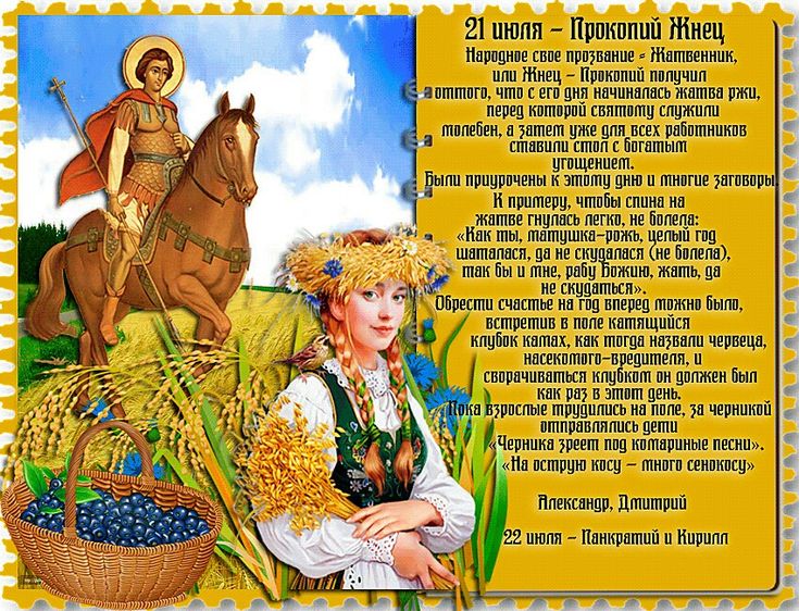 Зажинки (53 изображения)