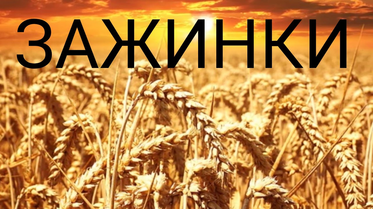 Зажинки (53 изображения)