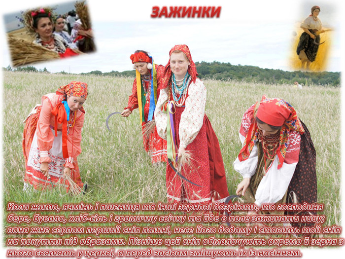 Зажинки (53 изображения)