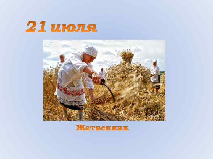 Зажинки (53 изображения)