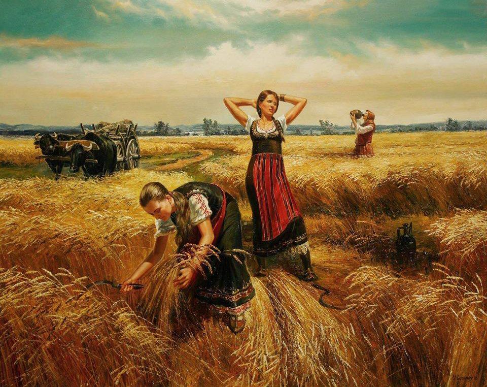 Зажинки (53 изображения)