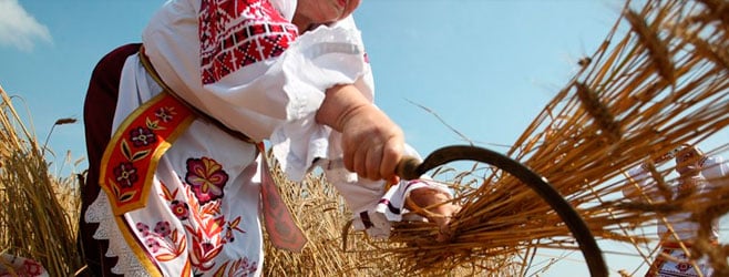 Зажинки (53 изображения)