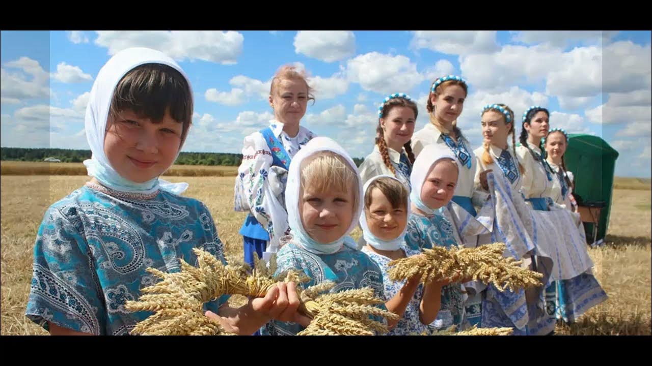 Зажинки (53 изображения)