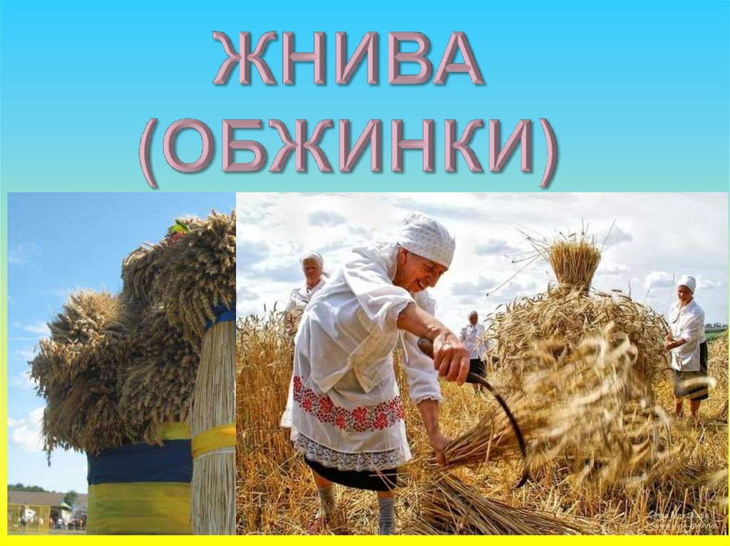 Зажинки (53 изображения)