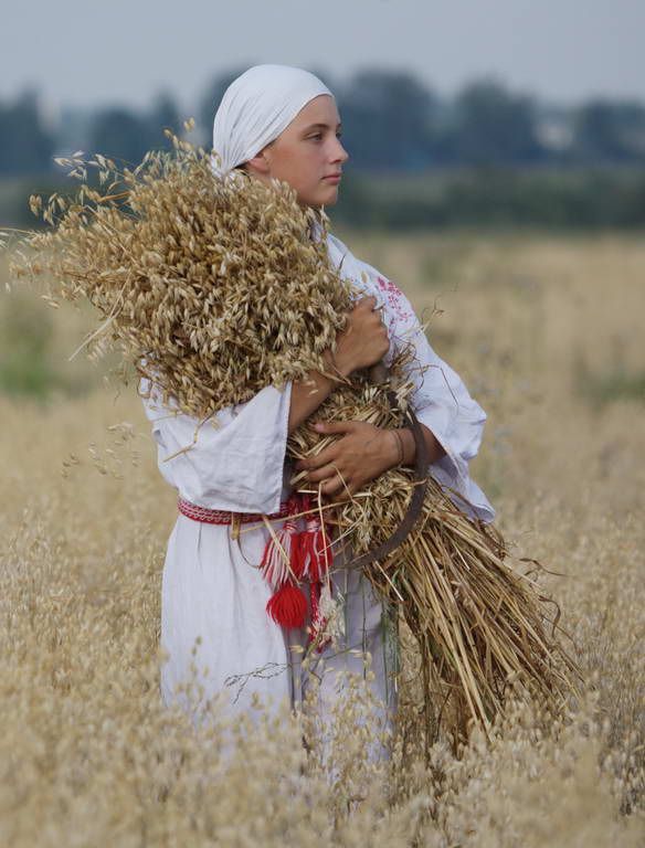 Зажинки (53 изображения)