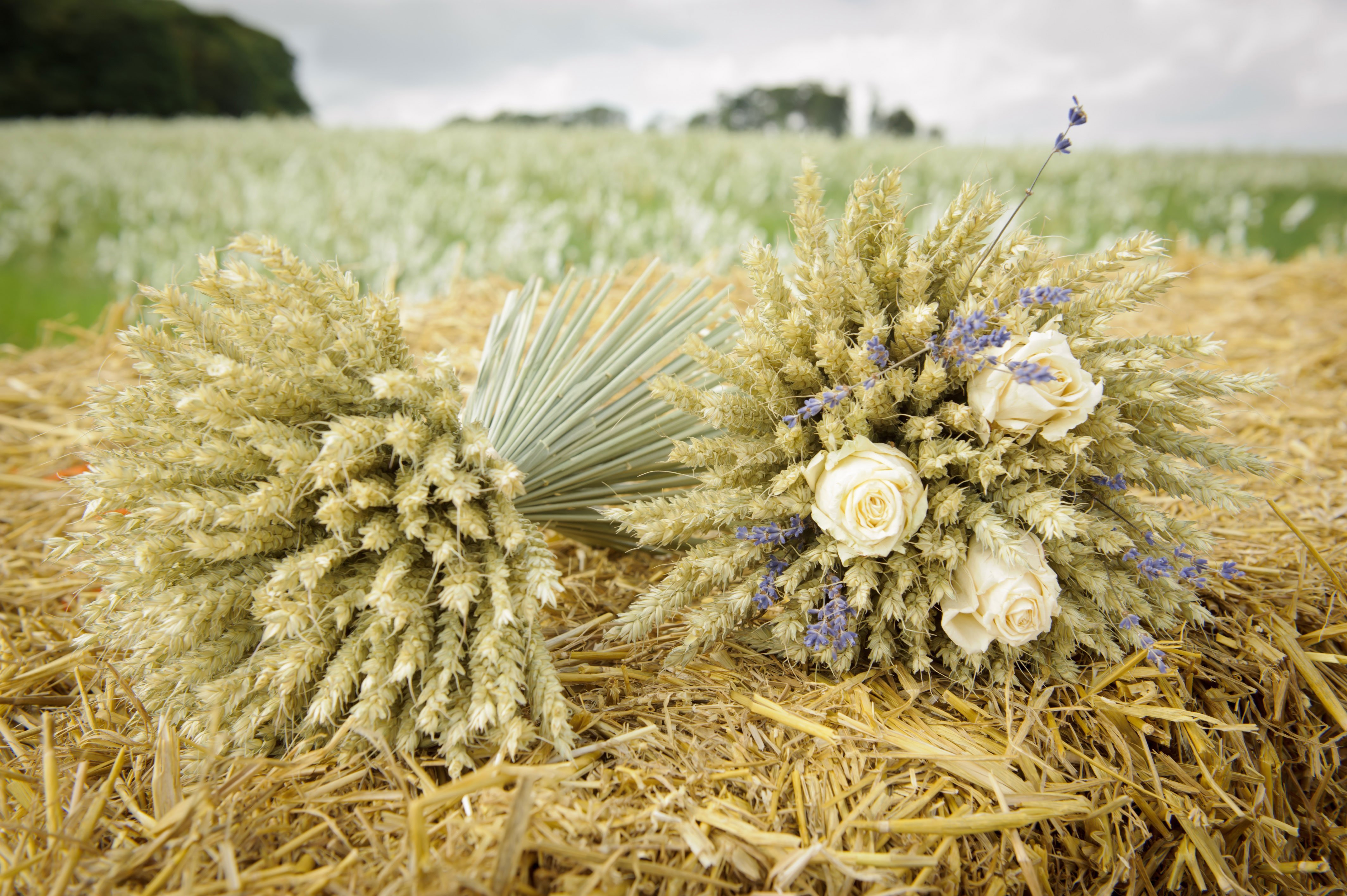 Зажинки (53 изображения)