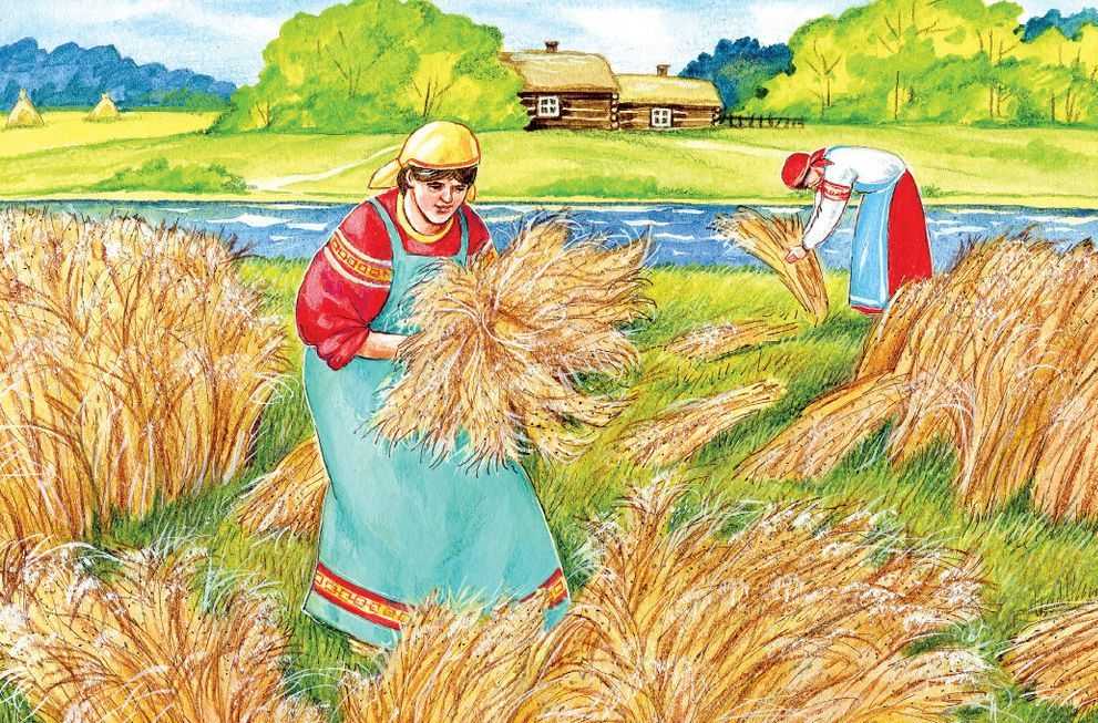 Зажинки (53 изображения)