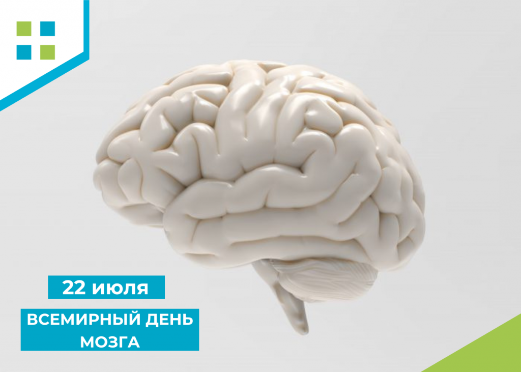 Brain 22. Всемирный мозг. День мозга. Международный день мозга. 22 Июля Всемирный день мозга.