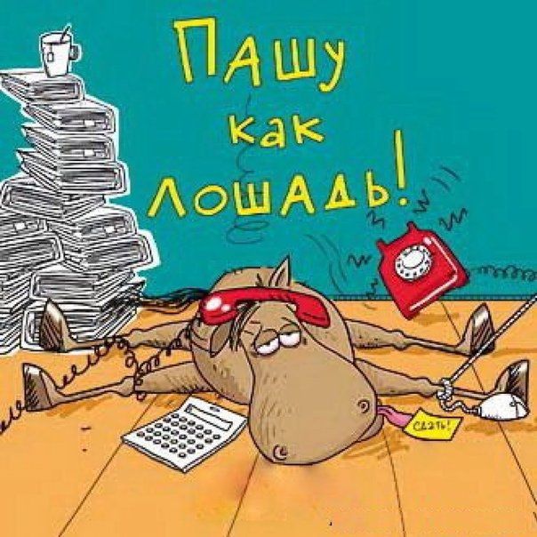 День трудяги (33 изображения)