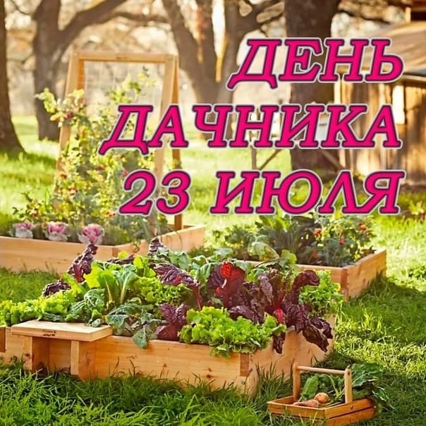 День дачника (60 изображений)
