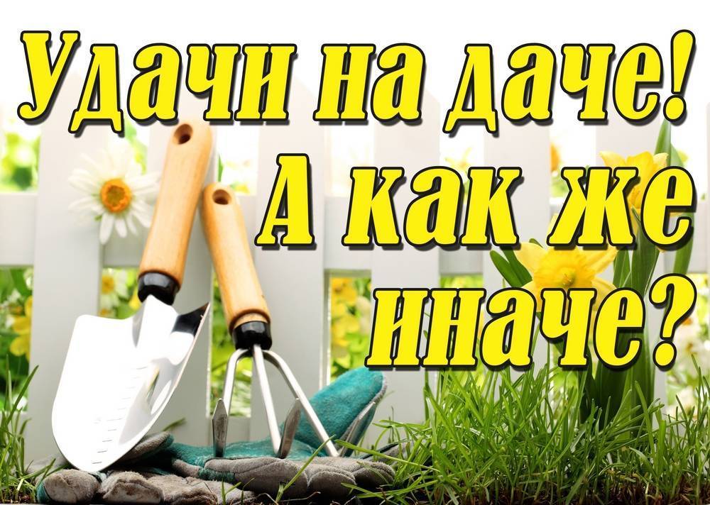 Дачники едут на дачу картинки