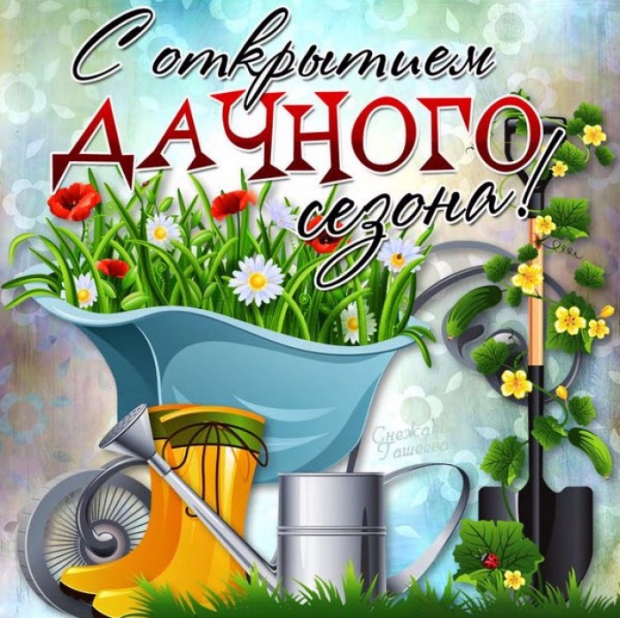 День дачника (60 изображений)