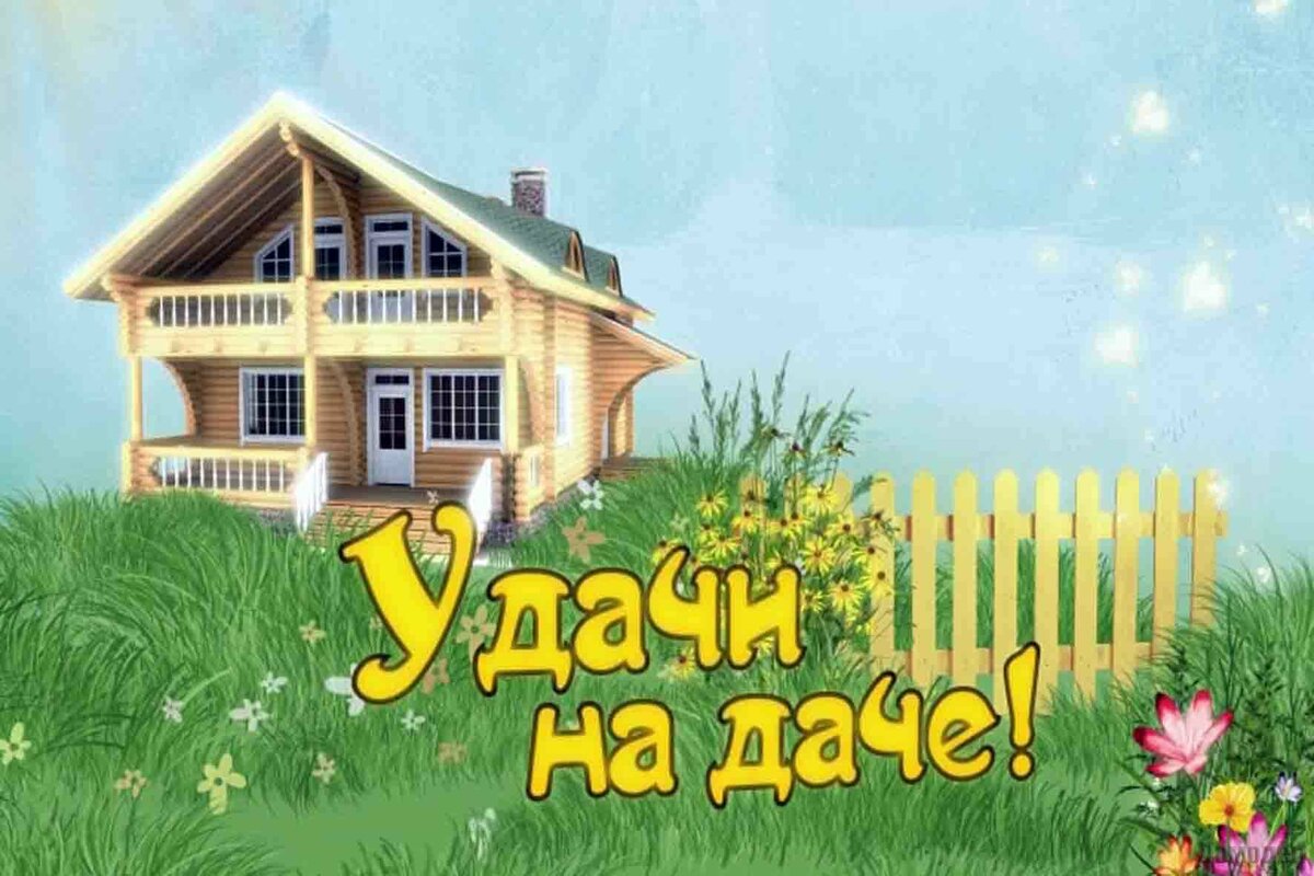 День дачника (60 изображений)