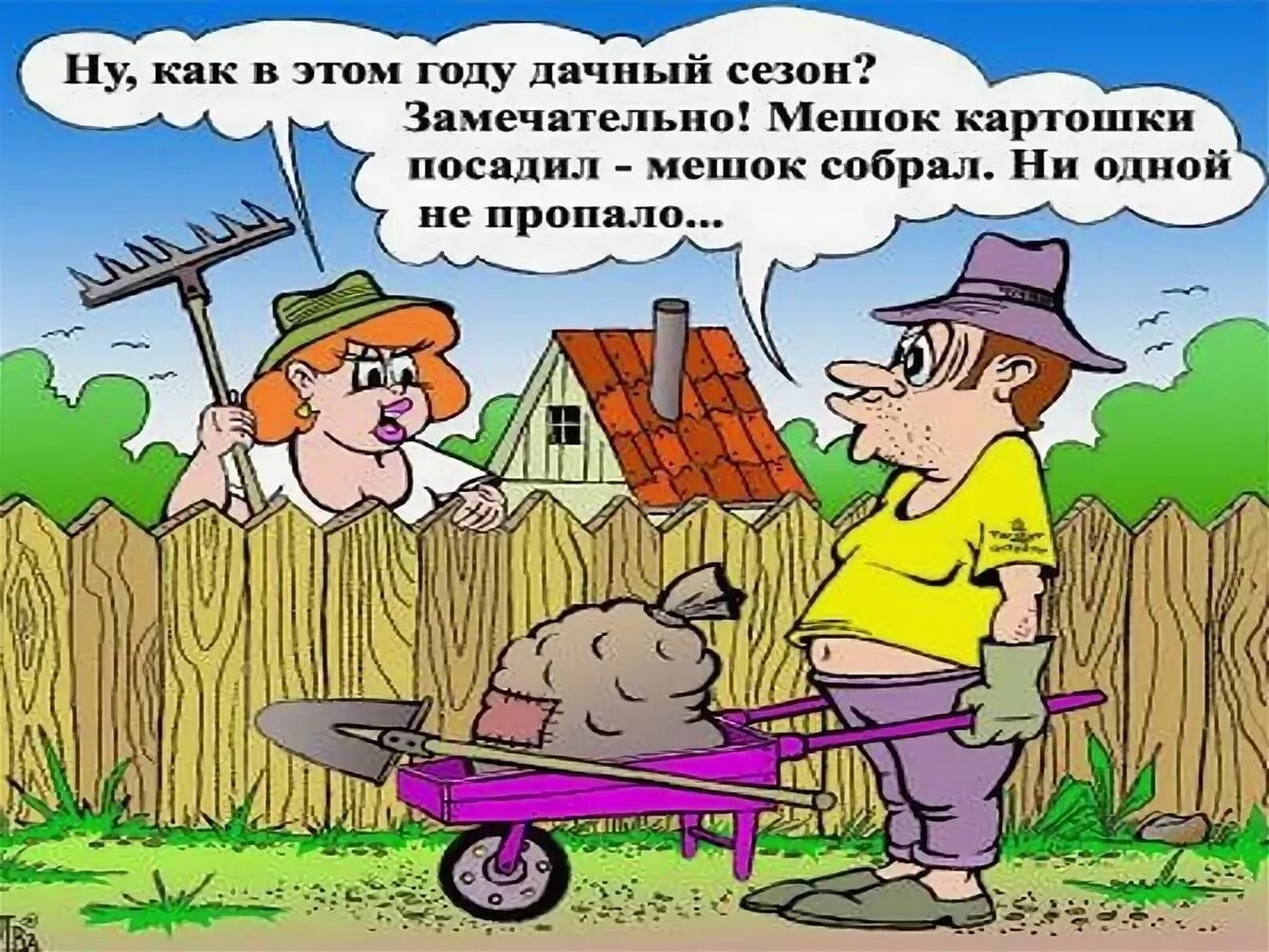 День дачника (60 изображений)