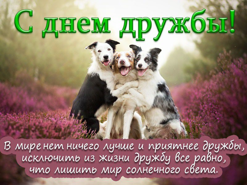День дружбы (45 изображений)