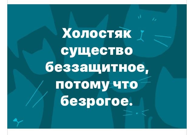 День холостяка (30 изображений)