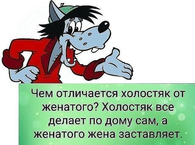 День холостяка (30 изображений)