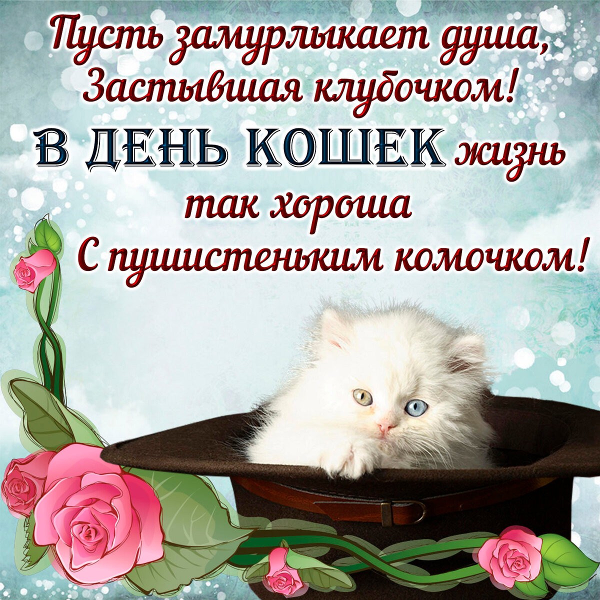 День кошек (62 изображения)